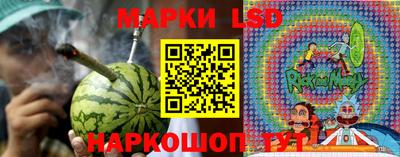 индика Партизанск