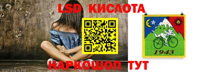 индика Партизанск