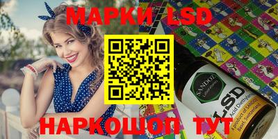 индика Партизанск