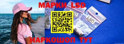 индика Партизанск