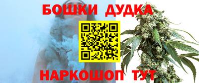 индика Партизанск