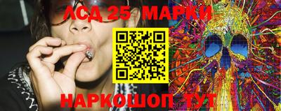 индика Партизанск