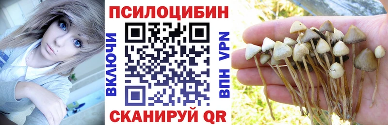 Псилоцибиновые грибы MAGIC MUSHROOMS  даркнет сайт  Сокол 