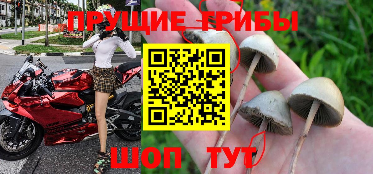 Галлюциногенные грибы ЛСД  Вход с VPN  Сокол  Псилоцибиновые грибы MAGIC MUSHROOMS 